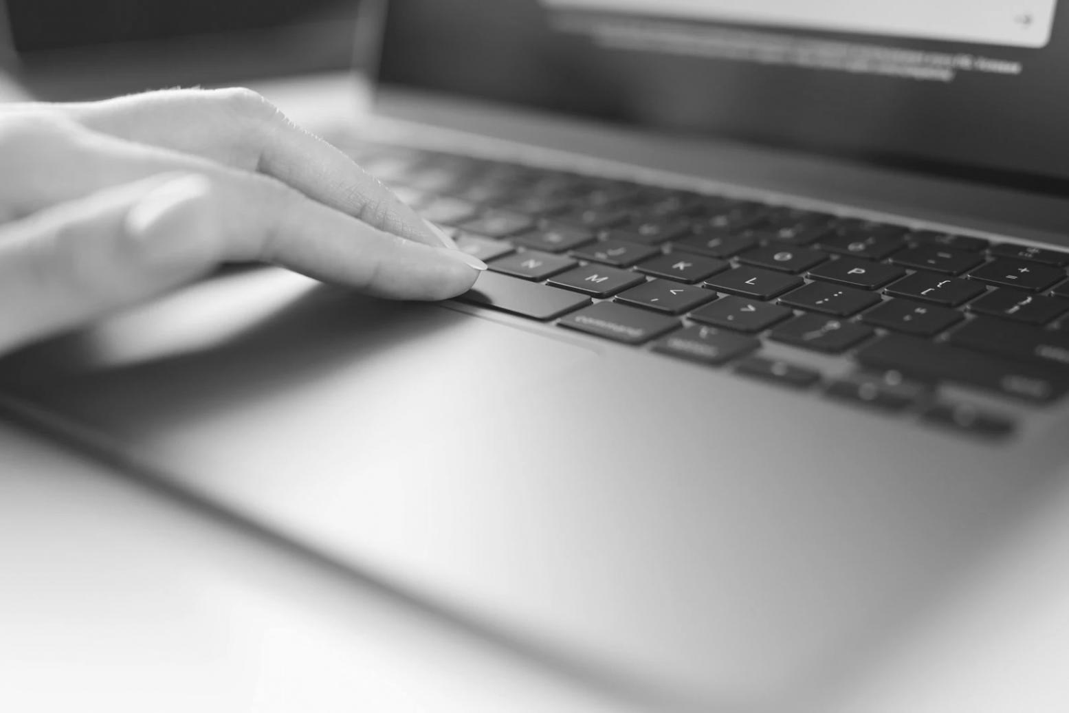 Praktische Workshop-Übungen mit SEO-Software